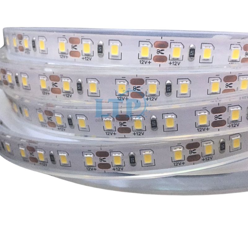 [5m] Led Dây Đúc 12v IP68 2835 120 led/m dùng chiếu sáng âm nước hồ bơi